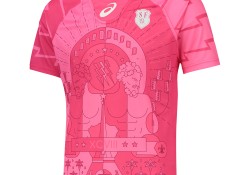 Away Shirt 2015/16 Pink